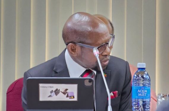 Saint Kitts and Nevis Top Diplomat Makes Intervention on Health and Pharna in Engagement between CARICOM Foreign Ministers and their Indian Counterpart