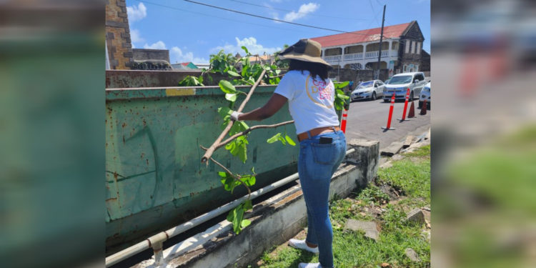 Ministry of Sustainable Development spearheads clean-up and landscaping in Independence Square
