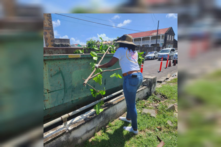 Ministry of Sustainable Development spearheads clean-up and landscaping in Independence Square