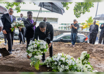Prime Minister Drew and Minister of Foreign Affairs, Dr. Douglas Pay Tribute to the Late Randall Robinson
