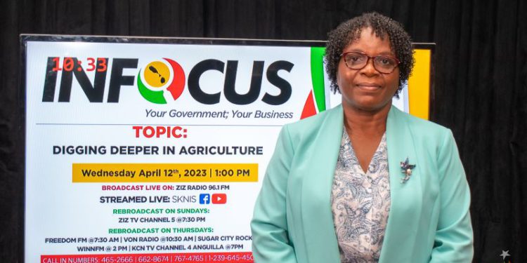 APPROXIMATELY 42 COUNTRIES TO BE REPRESENTED AT ST. KITTS AND NEVIS’ DIPLOMATIC WEEK, 2023