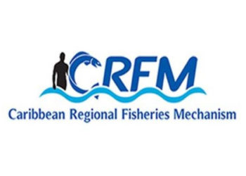 Seafood Value Chain Specialist – CARIBBEAN REGIONAL FISHERIES MECHANISM (CRFM) SECRETARIAT