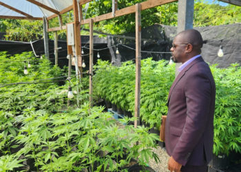 CANNABIS ACT NOW FULLY ACTIVATED