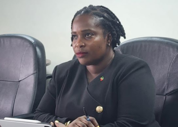 St. Kitts and Nevis joins the 108th Special Meeting of the COTED for Environment and Sustainable Development