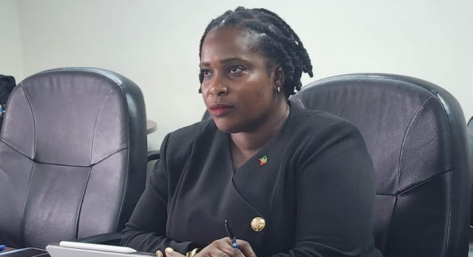 St. Kitts and Nevis joins the 108th Special Meeting of the COTED for