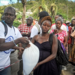 Haiti: Nearly half of the population is facing acute hunger