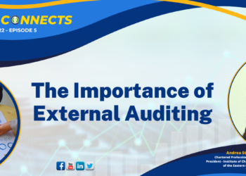 The Importance of External Auditing