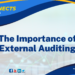 The Importance of External Auditing