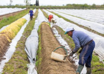 Latin American IPCC expert maintains that LAC climate change mitigation and adaptation actions must provide more rapid responses to protect vulnerable populations