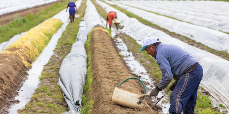 Latin American IPCC expert maintains that LAC climate change mitigation and adaptation actions must provide more rapid responses to protect vulnerable populations