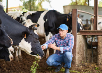 IICA Director General announces the Institute’s endorsement of the Dublin Declaration on the role of livestock production and highlighted the activity’s economic, social and nutritional benefits  