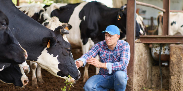 IICA Director General announces the Institute’s endorsement of the Dublin Declaration on the role of livestock production and highlighted the activity’s economic, social and nutritional benefits