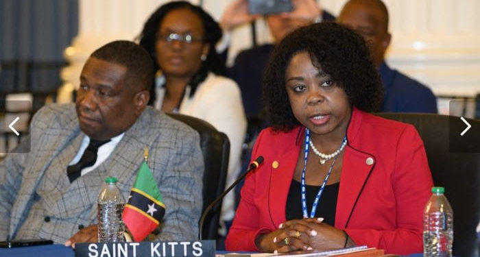 H.E. Sherry Tross delivers compelling National Statement to the OAS General Assembly