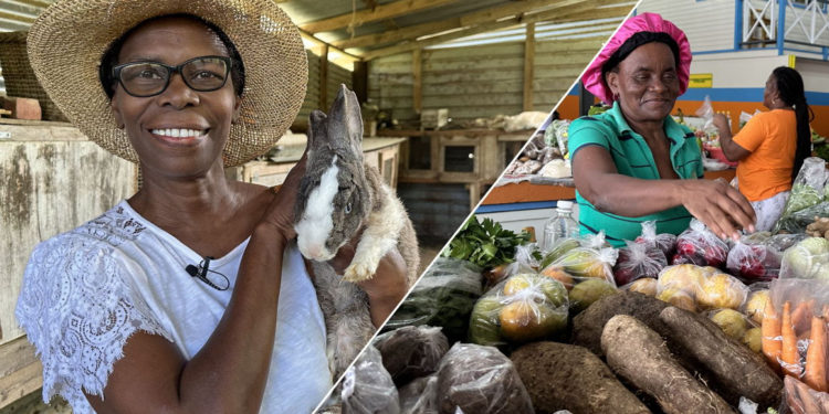“Her Land. Her Rights” – The OECS Releases Video Documentary on Women in Farming in St. Vincent and the Grenadines
