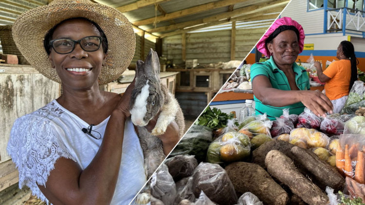 “Her Land. Her Rights” – The OECS Releases Video Documentary on Women in Farming in St. Vincent and the Grenadines
