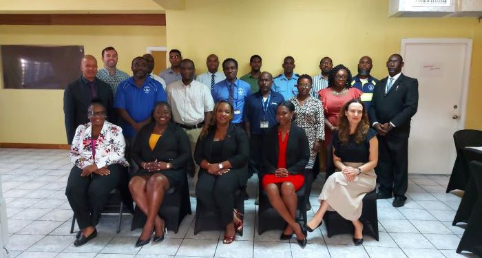 DEPARTMENT OF CIVIL AVIATION HOSTS RUNWAY SAFETY WORKSHOP