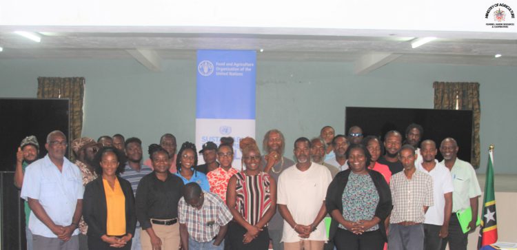 3-DAY ST. KITTS NATIONAL SWEET PEPPER VALUE CHAIN ASSESSMENT  WORKSHOP UNDERWAY AT AGRICULTURE DEPARTMENT