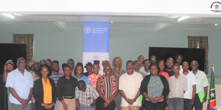 3-DAY ST. KITTS NATIONAL SWEET PEPPER VALUE CHAIN ASSESSMENT  WORKSHOP UNDERWAY AT AGRICULTURE DEPARTMENT