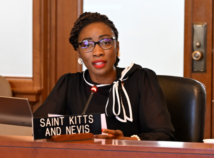 Permanent Mission of Saint Kitts and Nevis to the OAS pays homage to Former Governor-General Sir S. W. Tapley Seaton at Permanent Council Meeting 