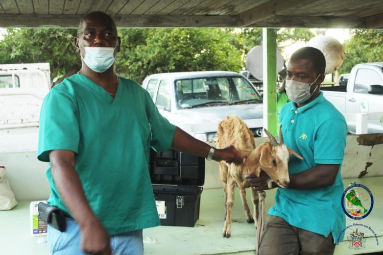 MINISTRY OF AGRICULTURE MOURNS THE PASSING OF FORMER DIRECTOR, DR. LESROY HENRY