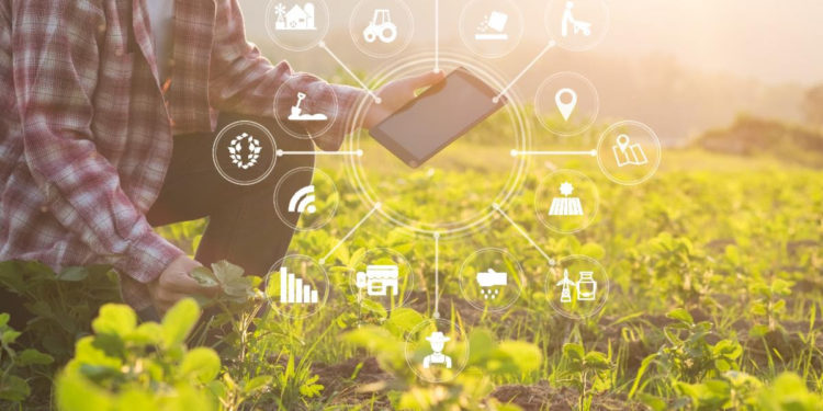 Development of Climate-Smart Agriculture Platform Underway with CDB Support