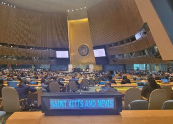 “The Time to change Crisis into Opportunity is Now” – UN High-Level Political Forum Opens