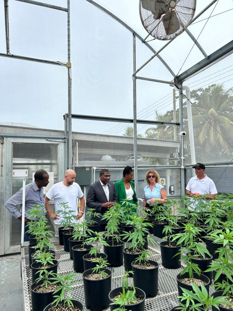 Prime Minister of Saint Kitts and Nevis Explores Medicinal Cannabis Innovations at CANNA SVG Medicinal Cannabis Farm in Saint Vincent and the Grenadines