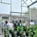 Prime Minister of Saint Kitts and Nevis Explores Medicinal Cannabis Innovations at CANNA SVG Medicinal Cannabis Farm in Saint Vincent and the Grenadines