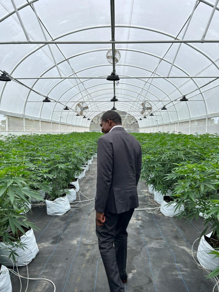 Prime Minister of Saint Kitts and Nevis Explores Medicinal Cannabis Innovations at CANNA SVG Medicinal Cannabis Farm in Saint Vincent and the Grenadines