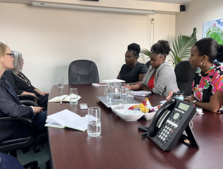 Minister Clarke engages United States Ambassador Her Excellency Linda Taglialatela on a range of climate-related issues of mutual interest