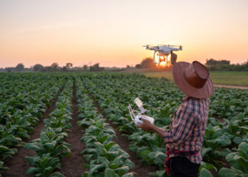 Science and innovation are crucial to the future of agrifood systems in the Americas, state high-level experts in new episode of IICA en Acción