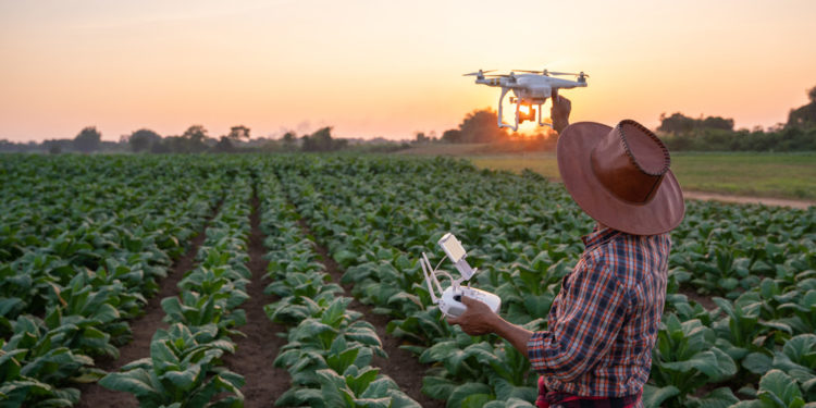 Science and innovation are crucial to the future of agrifood systems in the Americas, state high-level experts in new episode of IICA en Acción