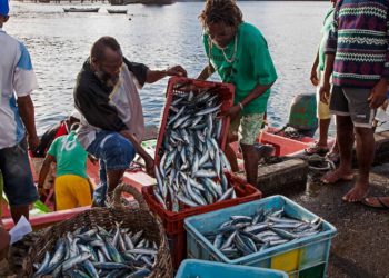  CAF, FAO, and CRFM partner on new Regional GEF Funded Blue Economy Project