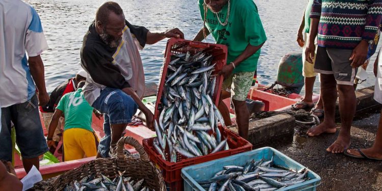  CAF, FAO, and CRFM partner on new Regional GEF Funded Blue Economy Project