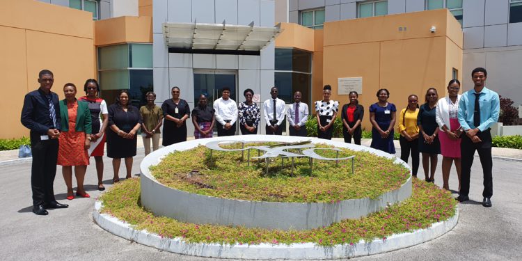 Valuable Experience for CXC® Summer Interns