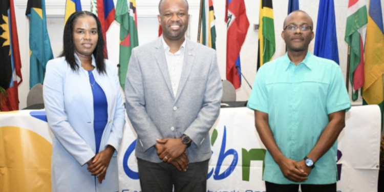 ST. KITTS & NEVIS HOSTS REGIONAL GATHERING OF CARIBBEAN NETWORK OPERATORS GROUP; SKN INTERNET EXCHANGE POINT LAUNCHED