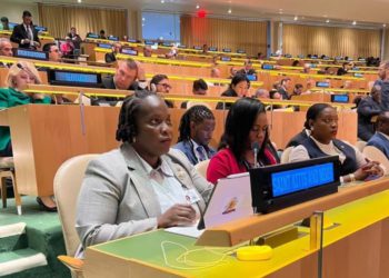 Minister Clarke participates in Commonwealth Environment and Climate Ministers Meeting at recent United Nations High-Level Week