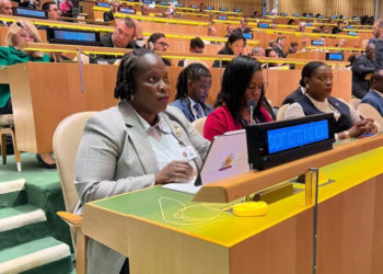 Minister Clarke addresses Member States of the United Nations at a Leaders Dialogue of the SDG Summit