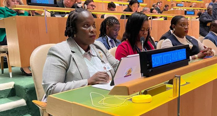 Minister Clarke addresses Member States of the United Nations at a Leaders Dialogue of the SDG Summit