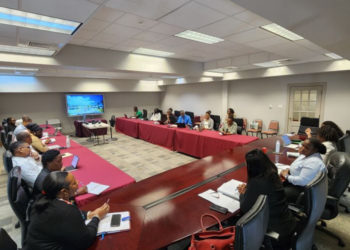 Work continues toward Sustainable Island State with convening of Intra-Ministerial Coordination Mechanism Management Team