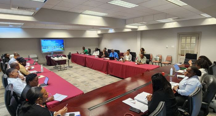 Work continues toward Sustainable Island State with convening of Intra-Ministerial Coordination Mechanism Management Team