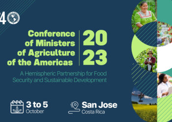 Conference of Ministers of Agriculture of the Americas 2023: at IICA, ministers from the region will discuss the most urgent issues on the food security and agricultural sustainability agenda