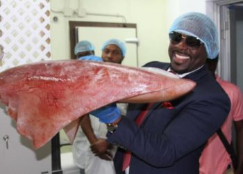 DIAMONDBACK SQUID TAKES CENTER STAGE AT AGRI-NIGHT MARKET FOR THE WORLD FOOD DAY 2023 EDITION