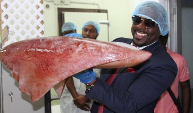 DIAMONDBACK SQUID TAKES CENTER STAGE AT AGRI-NIGHT MARKET FOR THE WORLD FOOD DAY 2023 EDITION