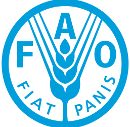 Celebrating World Fisheries Day in the Caribbean An occasion to salute our fisherfolks as our local Food Heroes