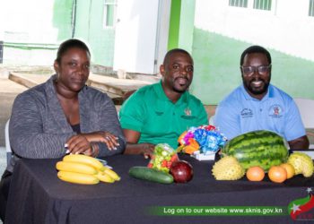 ONLINE ORDERING SERVICES NOW AVAILABLE AT THE BASSETERRE PUBLIC MARKET VIA 869ToGo.COM