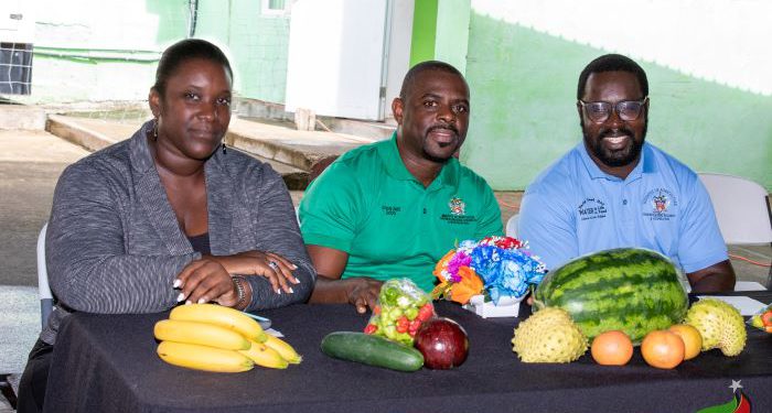 ONLINE ORDERING SERVICES NOW AVAILABLE AT THE BASSETERRE PUBLIC MARKET VIA 869ToGo.COM