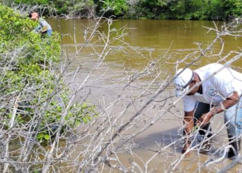 Ministry of Sustainable Development collaborates on Mangrove Restoration Training