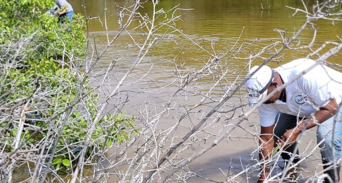 Ministry of Sustainable Development collaborates on Mangrove Restoration Training