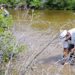 Ministry of Sustainable Development collaborates on Mangrove Restoration Training